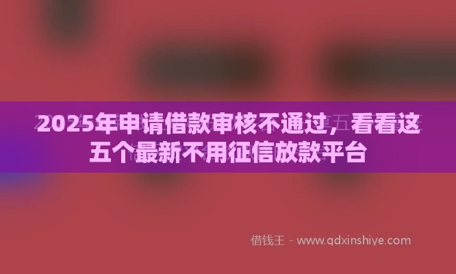 2025年申请借款审核不通过，看看这五个最新不用征信放款平台