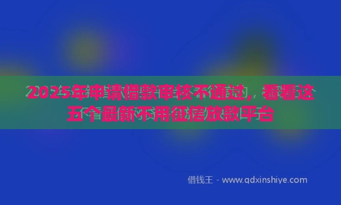 2025年申请借款审核不通过，看看这五个最新不用征信放款平台