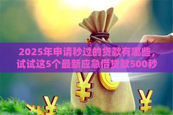 2025年申请秒过的贷款有哪些，试试这5个最新应急借贷款500秒下平台