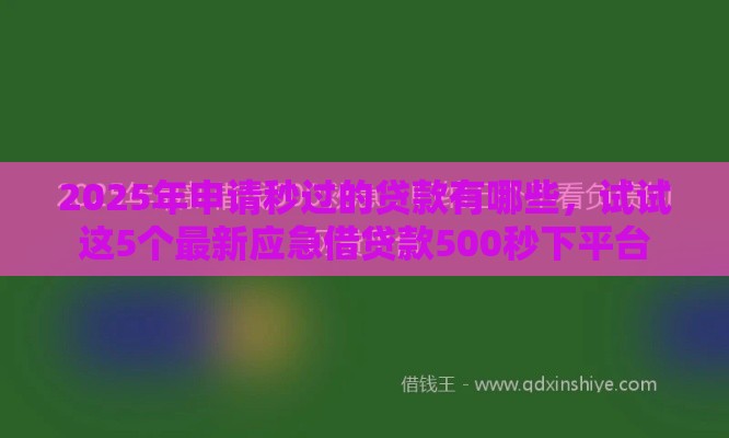 2025年申请秒过的贷款有哪些，试试这5个最新应急借贷款500秒下平台