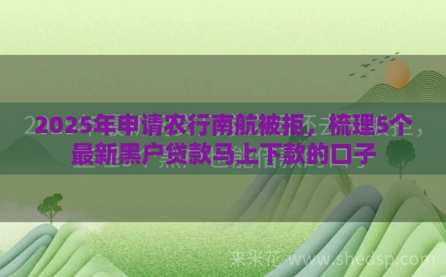 2025年申请农行南航被拒，梳理5个最新黑户贷款马上下款的口子