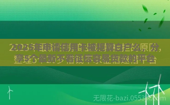 2025年申请信用卡被拒算白户么，分享5个最新不看征信容易贷款的平台