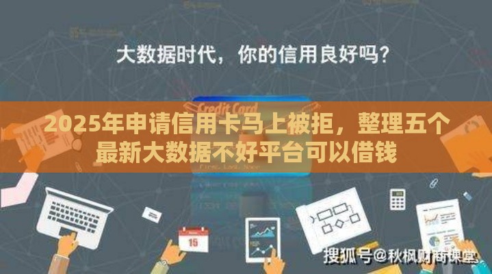 2025年申请信用卡马上被拒，整理五个最新大数据不好平台可以借钱