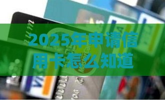 2025年申请信用卡怎么知道被拒：梳理五个2025热门最容易下款的贷款平台不看征信
