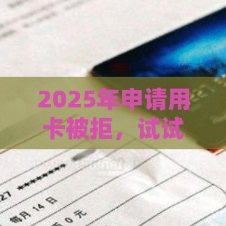2025年申请用卡被拒，试试这五个最新借钱周转软件1000