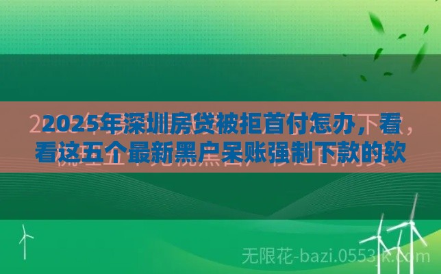 2025年深圳房贷被拒首付怎办，看看这五个最新黑户呆账强制下款的软件