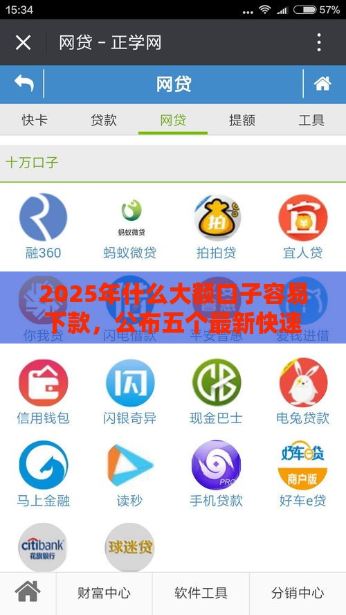 2025年什么大额口子容易下款，公布五个最新快速网贷平台