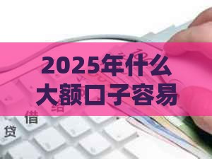 2025年什么大额口子容易下款，公布五个最新快速网贷平台