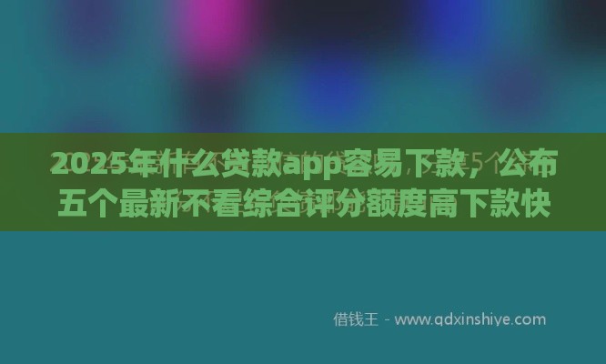 2025年什么贷款app容易下款，公布五个最新不看综合评分额度高下款快平台