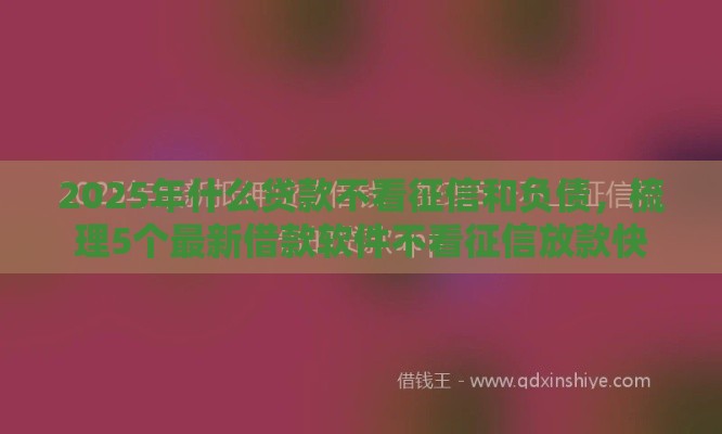 2025年什么贷款不看征信和负债，梳理5个最新借款软件不看征信放款快