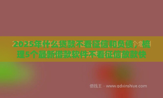 2025年什么贷款不看征信和负债，梳理5个最新借款软件不看征信放款快