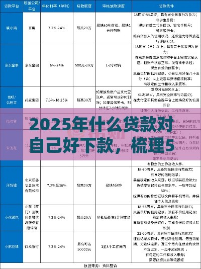 2025年什么贷款对自己好下款，梳理5个最新小微金融贷款平台
