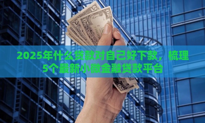 2025年什么贷款对自己好下款，梳理5个最新小微金融贷款平台