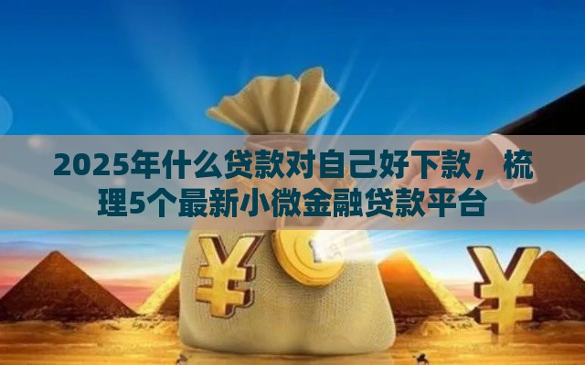 2025年什么贷款对自己好下款，梳理5个最新小微金融贷款平台