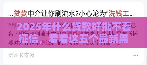 2025年什么贷款好批不看征信，看看这五个最新黑户能借款的平台