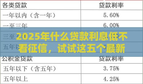 2025年什么贷款利息低不看征信，试试这五个最新类似花薪的30天借款平台