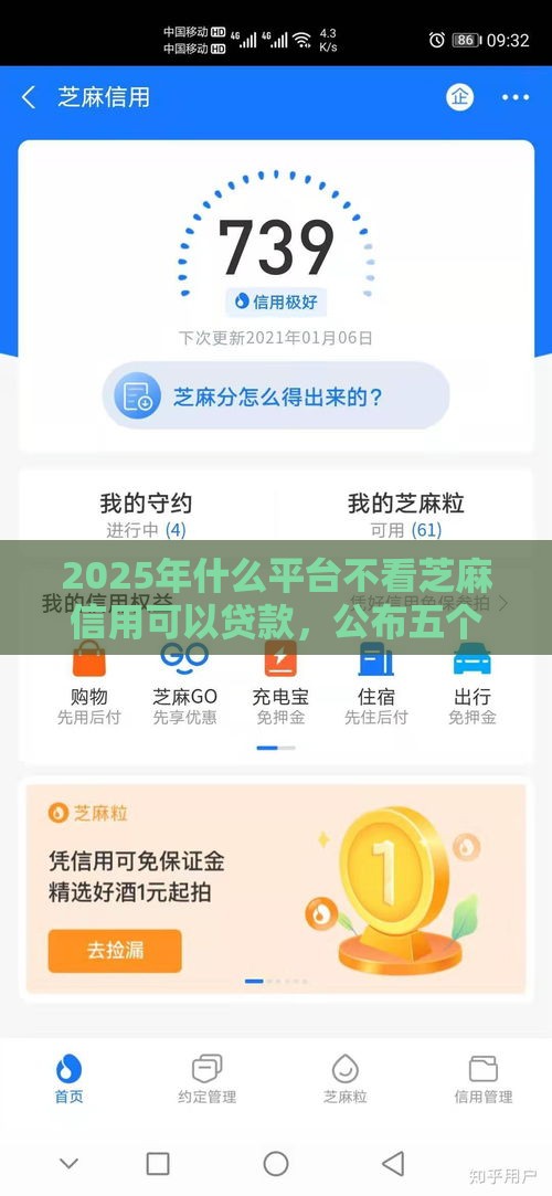 2025年什么平台不看芝麻信用可以贷款，公布五个最新学生小额贷款平台