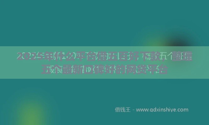 2025年什么平台借五百好下款，整理五个最新口碑好的网贷平台