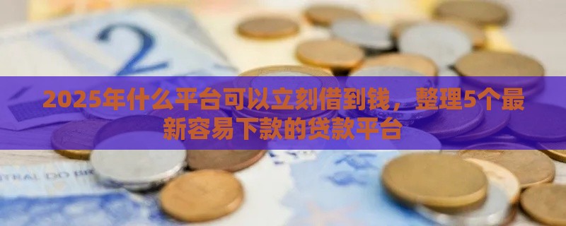 2025年什么平台可以立刻借到钱，整理5个最新容易下款的贷款平台