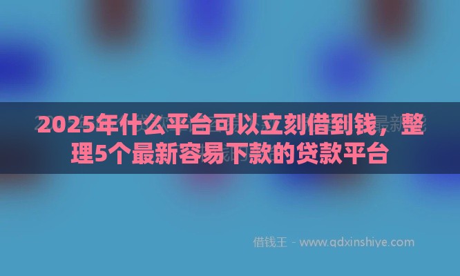 2025年什么平台可以立刻借到钱，整理5个最新容易下款的贷款平台