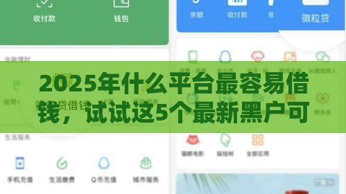 2025年什么平台最容易借钱，试试这5个最新黑户可以借钱的平台
