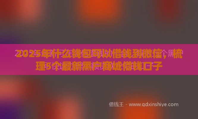 2025年什么钱包可以借钱到微信，梳理5个最新黑户商城借钱口子