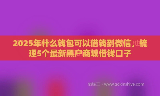 2025年什么钱包可以借钱到微信，梳理5个最新黑户商城借钱口子