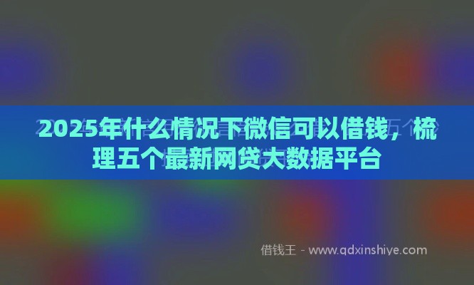 2025年什么情况下微信可以借钱，梳理五个最新网贷大数据平台