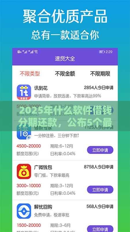 2025年什么软件借钱分期还款，公布5个最新综合评估未通过平台可以借钱