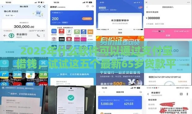 2025年什么软件可以通过支付宝借钱，试试这五个最新65岁贷款平台