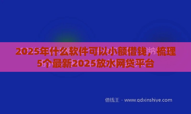 2025年什么软件可以小额借钱，梳理5个最新2025放水网贷平台