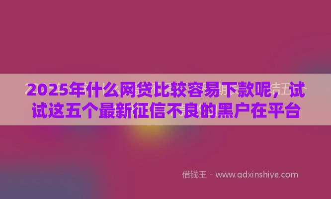 2025年什么网贷比较容易下款呢，试试这五个最新征信不良的黑户在平台可以借款