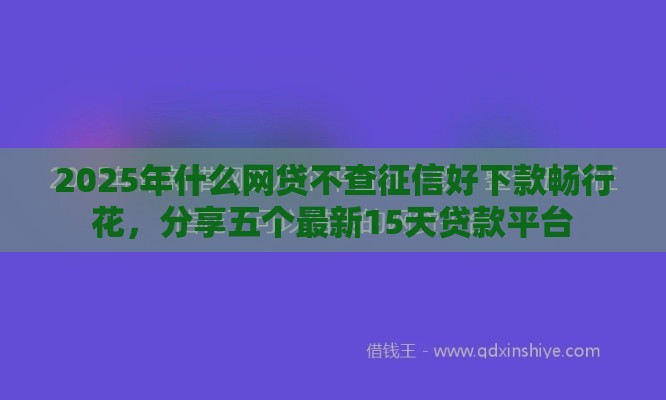 2025年什么网贷不查征信好下款畅行花，分享五个最新15天贷款平台