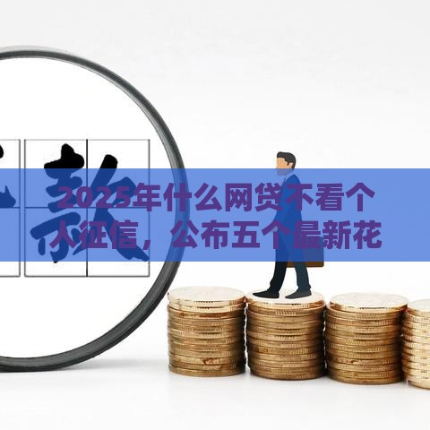 2025年什么网贷不看个人征信，公布五个最新花户下款的口子2025