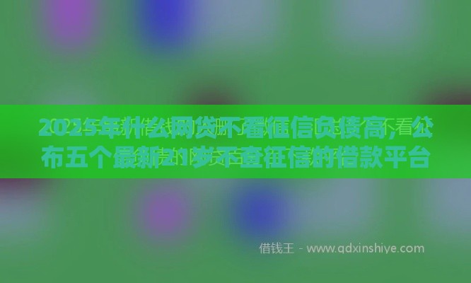 2025年什么网贷不看征信负债高，公布五个最新21岁不查征信的借款平台百分百通过