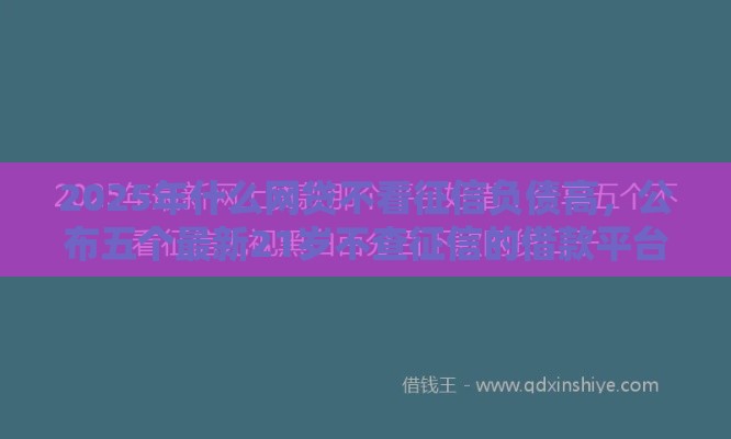 2025年什么网贷不看征信负债高，公布五个最新21岁不查征信的借款平台百分百通过