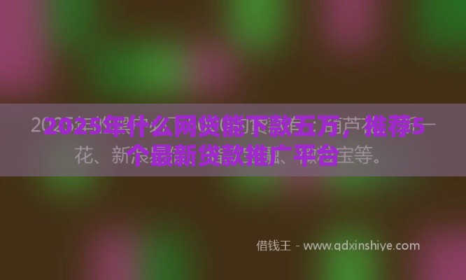 2025年什么网贷能下款五万，推荐5个最新贷款推广平台