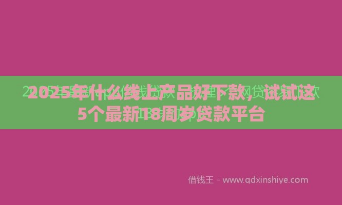 2025年什么线上产品好下款，试试这5个最新18周岁贷款平台