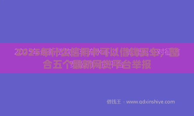 2025年什么信用卡可以借钱买车，整合五个最新网贷平台举报