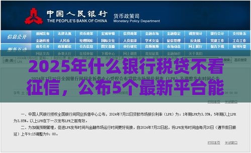 2025年什么银行税贷不看征信，公布5个最新平台能贷款
