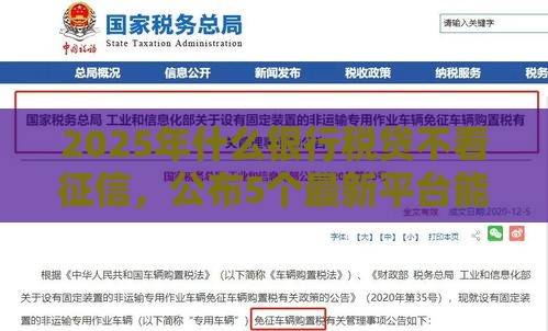 2025年什么银行税贷不看征信，公布5个最新平台能贷款