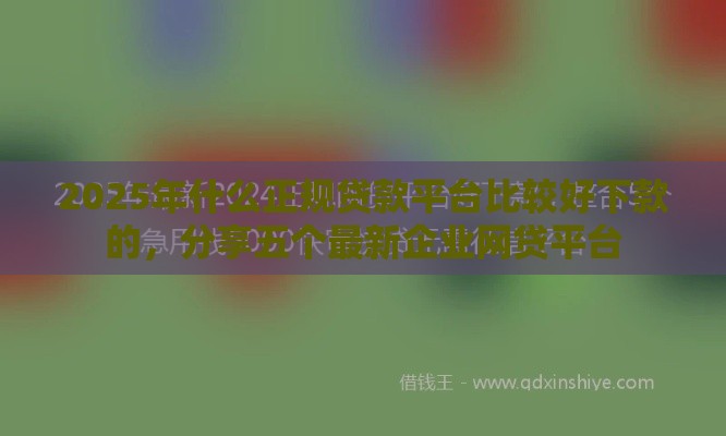 2025年什么正规贷款平台比较好下款的，分享五个最新企业网贷平台