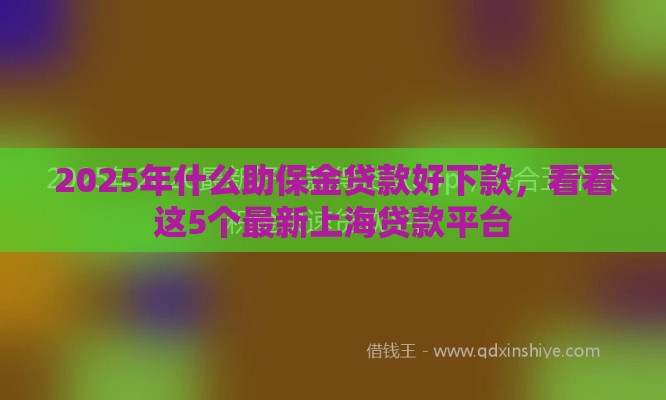 2025年什么助保金贷款好下款，看看这5个最新上海贷款平台