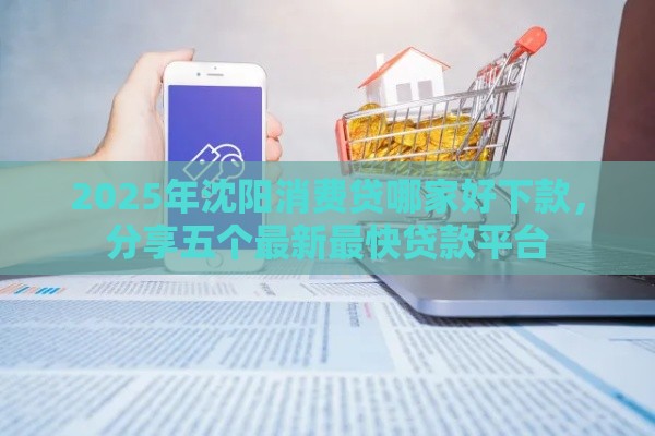 2025年沈阳消费贷哪家好下款，分享五个最新最快贷款平台