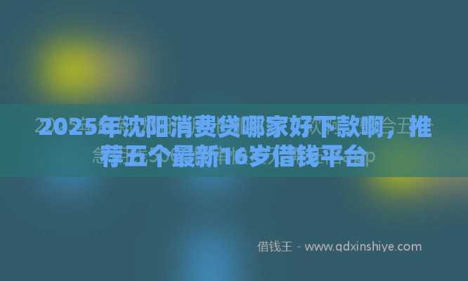 2025年沈阳消费贷哪家好下款啊，推荐五个最新16岁借钱平台
