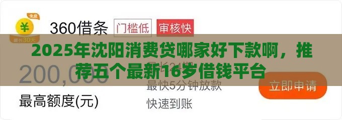 2025年沈阳消费贷哪家好下款啊，推荐五个最新16岁借钱平台