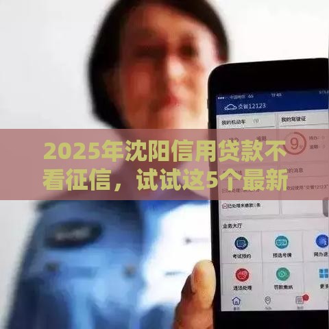 2025年沈阳信用贷款不看征信,试试这5个最新什么贷款不上征信平台 2025年沈阳信用贷款不看征信,试试这5个最新什么贷款不上征信平台