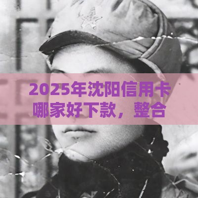 2025年沈阳信用卡哪家好下款，整合五个最新网贷逾期还可以借钱的口子