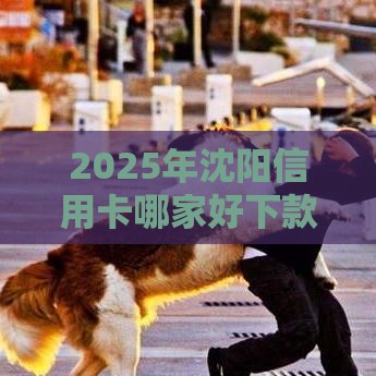 2025年沈阳信用卡哪家好下款，整合五个最新网贷逾期还可以借钱的口子