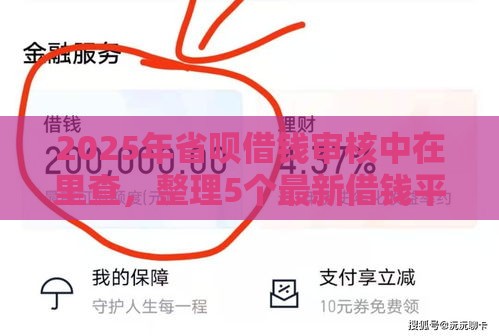 2025年省呗借钱审核中在里查，整理5个最新借钱平台不看征信容易通过的